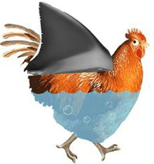 Chicken Shark