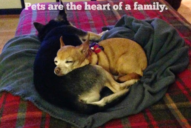 Pets Are Family